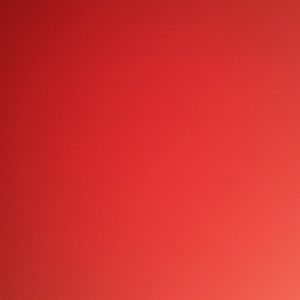 Meet your Posher, Allyson